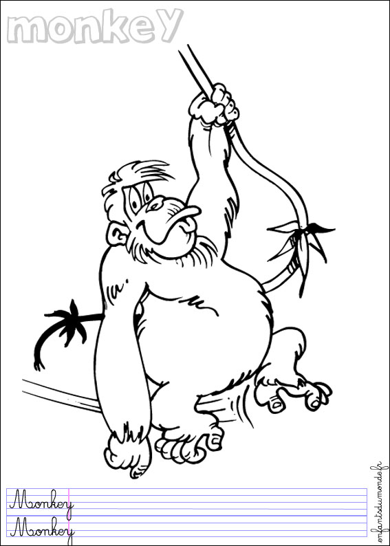 coloriage singe 2